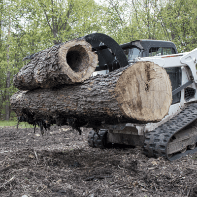 Clam Grapple LS2