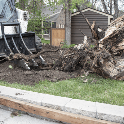Rock Stump Ripper LS2