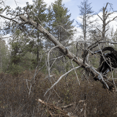 Tree Post Puller