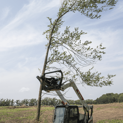 Tree Post Puller