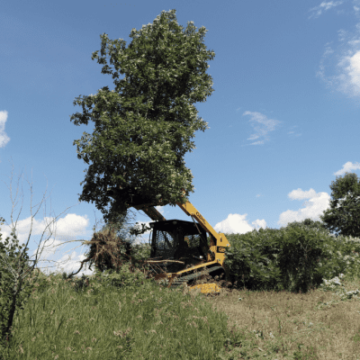 Tree Post Puller